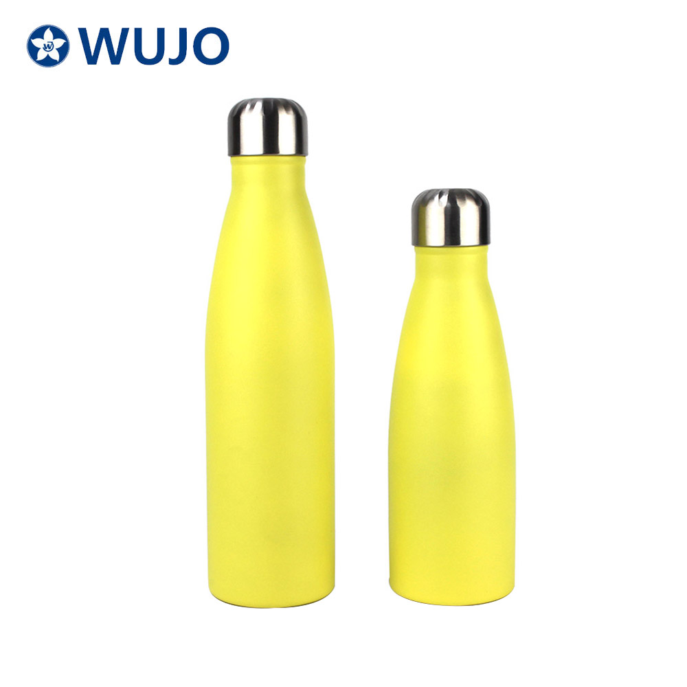 Wujo auffällige glänzende Edelstahl-isolierte Wasserflaschen